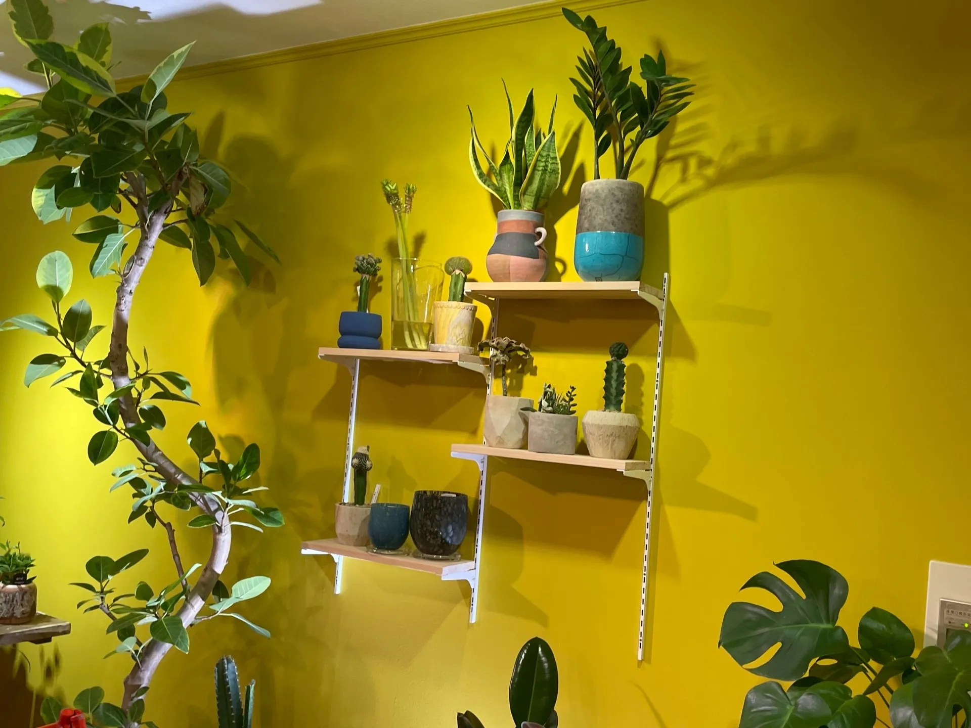 『2025年8月 東京都内 フコク生命ビル内店舗改修工事』